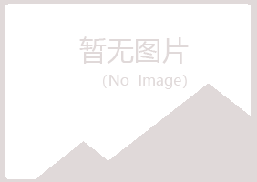 五河县小夏机械有限公司